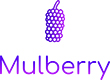 Mulberry